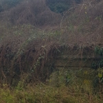 Парцел в Дупница - 370 кв.м за 54 €/кв.м - Снимка #1