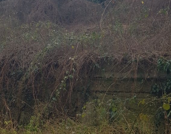 Парцел в Дупница - 370 кв.м за 54 €/кв.м - Снимка #1