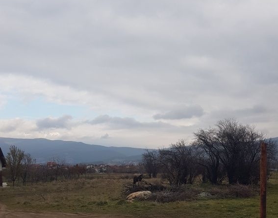 Парцел в Сапарева баня - 1560 кв.м за 59 €/кв.м - Снимка #1