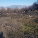 Парцел в с. Слокощица, Област Кюстендил - 2800 кв.м за 4 €/кв.м - Снимка #1