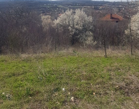 Парцел в Дупница - 1050 кв.м за 12 €/кв.м - Снимка #1