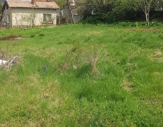 Парцел в с. Мламолово, Област Кюстендил - 830 кв.м за 16 €/кв.м - Снимка #1