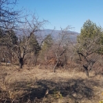 Парцел в Кюстендил, Колуша - 400 кв.м за 31 €/кв.м - Снимка #1