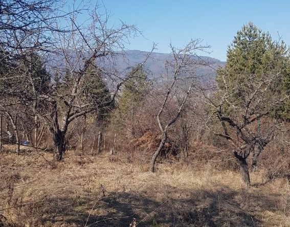 Парцел в Кюстендил, Колуша - 400 кв.м за 31 €/кв.м - Снимка #1