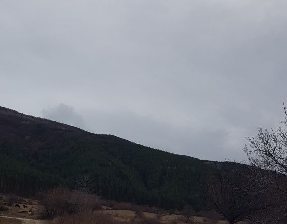 Парцел в Сапарева баня - 1800 кв.м за 19 €/кв.м - Снимка #1