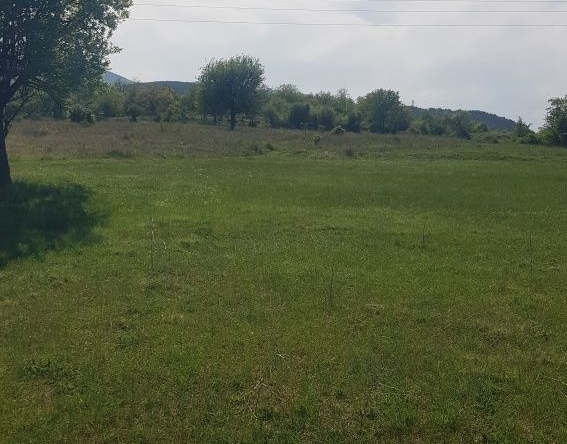 Парцел в Кюстендил, Бял камък - 2000 кв.м за 3 €/кв.м - Снимка #1