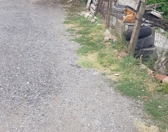 Парцел в Дупница - 300 кв.м за 34 €/кв.м - Снимка #1