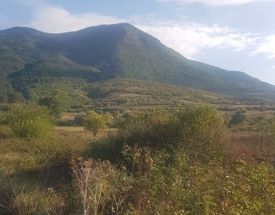 Парцел в Дупница - 4200 кв.м за 27 €/кв.м - Снимка #1