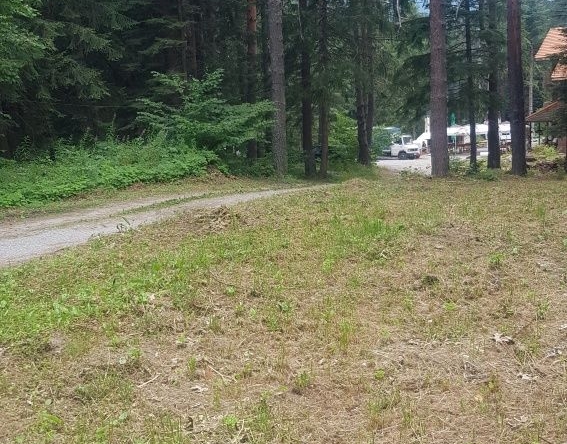 Парцел в Сапарева баня - 4700 кв.м за 86 €/кв.м - Снимка #1