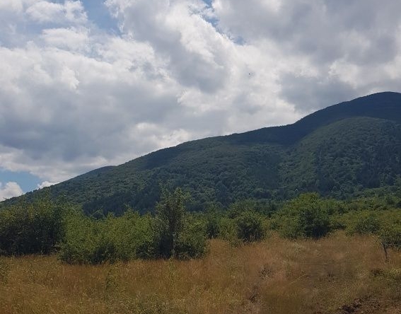 Парцел в Сапарева баня - 1300 кв.м за 16 €/кв.м - Снимка #1