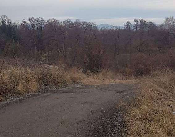 Парцел в Дупница - 5000 кв.м за 15 €/кв.м - Снимка #1