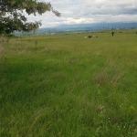 Парцел в Кюстендил, Бузлуджа - 3600 кв.м за 2 €/кв.м - Снимка #1