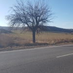 Парцел в Дупница - 5000 кв.м за 9 €/кв.м - Снимка #1