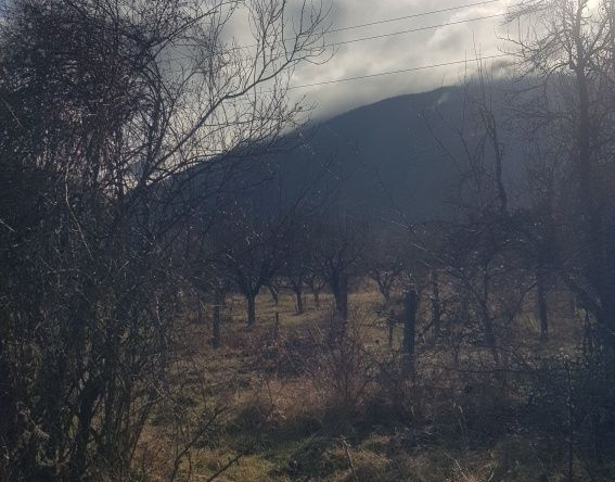 Парцел в Сапарева баня - 800 кв.м за 61 €/кв.м - Снимка #1