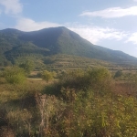 Парцел в Дупница - 4200 кв.м за 53 €/кв.м - Снимка #1