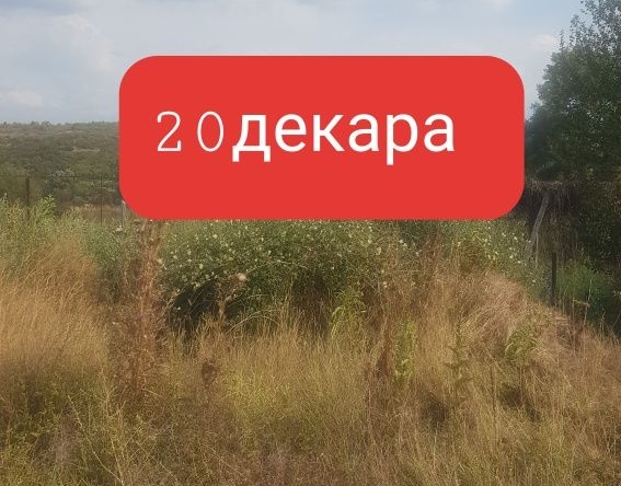Парцел в Кочериново - 20300 кв.м за 4 €/кв.м - Снимка #1