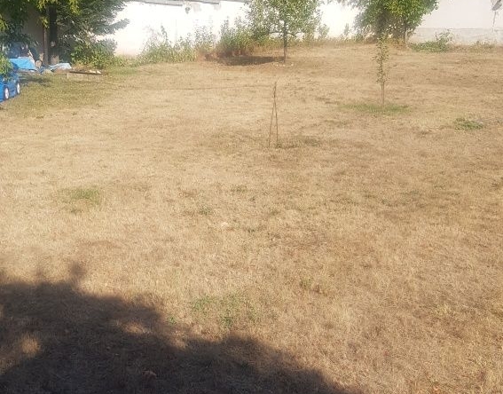 Парцел в Дупница - 1000 кв.м за 23 €/кв.м - Снимка #1