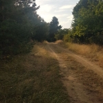 Парцел в Сапарева баня - 2200 кв.м за 21 €/кв.м - Снимка #1