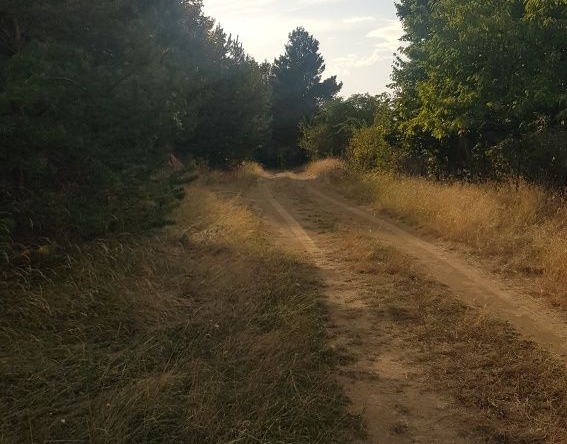 Парцел в Сапарева баня - 2200 кв.м за 21 €/кв.м - Снимка #1