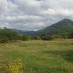 Парцел в Сапарева баня - 10760 кв.м за 51 €/кв.м - Снимка #1