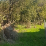 Парцел в Бобошево - 600 кв.м за 9 €/кв.м - Снимка #1