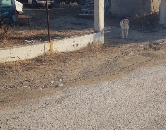 Парцел в Дупница - 362 кв.м за 73 €/кв.м - Снимка #1