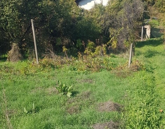 Парцел в с. Сопово, Област Кюстендил - 500 кв.м за 16 €/кв.м - Снимка #1