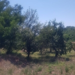 Парцел в Дупница - 1350 кв.м за 9 €/кв.м - Снимка #1