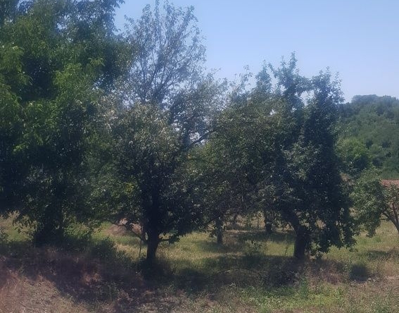 Парцел в Дупница - 1350 кв.м за 9 €/кв.м - Снимка #1