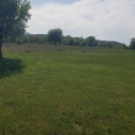 Парцел в Кюстендил, Бял камък - 2000 кв.м за 3 €/кв.м - Снимка #1