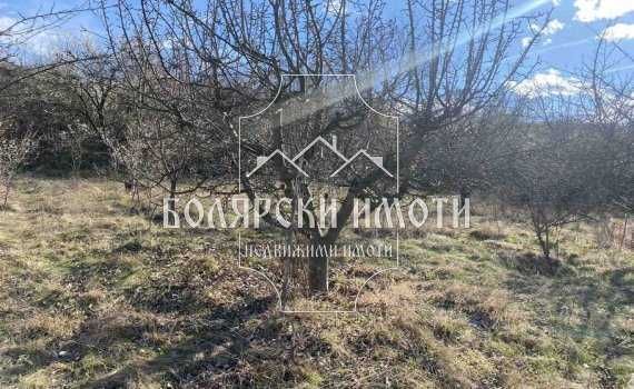 Парцел в с. Самоводене, Област Велико Търново - 2000 кв.м за 27 €/кв.м - Снимка #1
