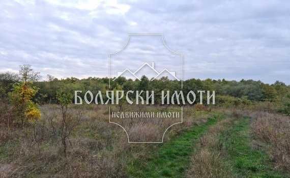 Парцел в с. Велчево, Област Велико Търново - 1200 кв.м за 8 €/кв.м - Снимка #1