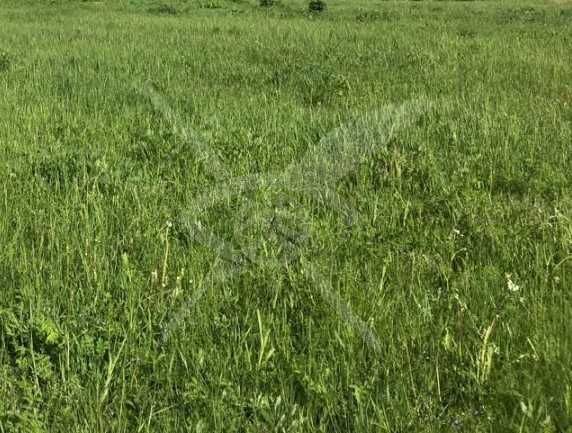 Парцел в Пловдив, Индустриална зона - Юг - 1668 кв.м за 200 €/кв.м - Снимка #1