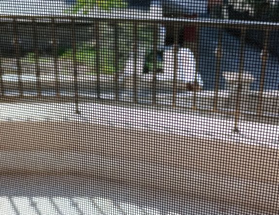 Дава се под наем Двустаен апартамент в Русе, Възраждане - 70 кв.м за 357 € - Снимка #1