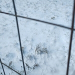 Парцел в с. Балша, Област София-град - 413 кв.м за 47 €/кв.м - Снимка #1