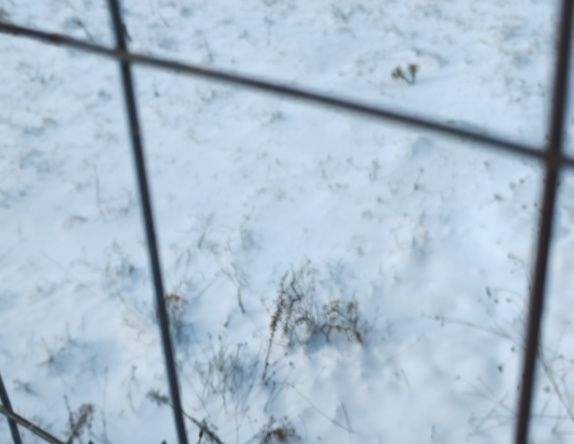 Парцел в с. Балша, Област София-град - 413 кв.м за 47 €/кв.м - Снимка #1