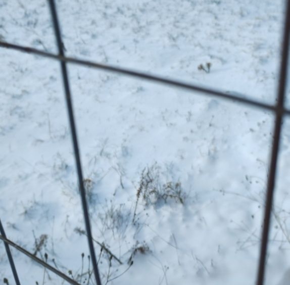 Парцел в с. Балша, Област София-град - 413 кв.м за 47 €/кв.м - Снимка #1