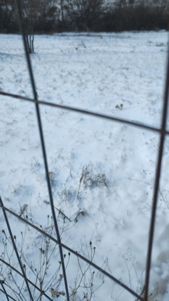 Парцел в с. Балша, Област София-град - 413 кв.м за 47 €/кв.м - Снимка #1