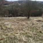 Къща в София, Иван Вазов - 2000 кв.м за 5 €/кв.м - Снимка #1