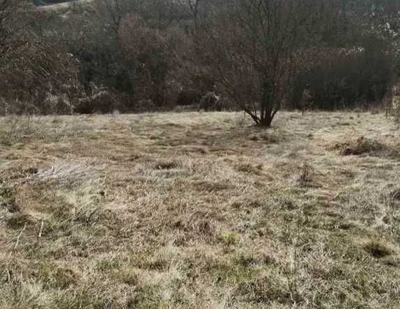 Къща в София, Иван Вазов - 2000 кв.м за 5 €/кв.м - Снимка #1