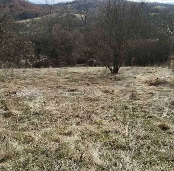 Къща в София, Иван Вазов - 2000 кв.м за 5 €/кв.м - Снимка #1