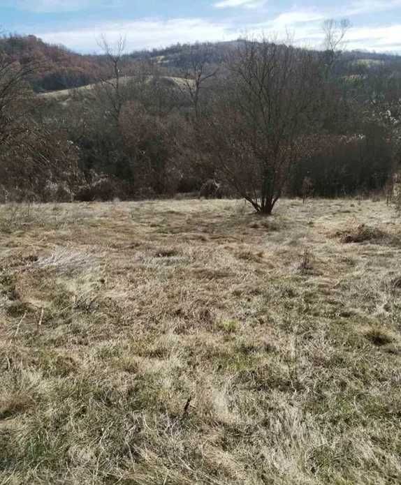 Къща в София, Иван Вазов - 2000 кв.м за 5 €/кв.м - Снимка #1