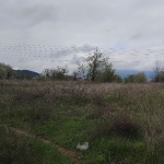 Парцел в Кюстендил, Бял камък - 1200 кв.м за 10 €/кв.м - Снимка #1