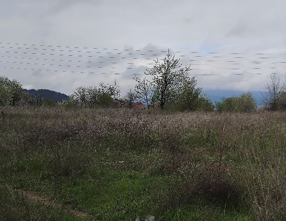 Парцел в Кюстендил, Бял камък - 1200 кв.м за 10 €/кв.м - Снимка #1