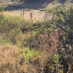 Парцел в с. Караполци, Област София-област - 350 кв.м за 100 €/кв.м - Снимка #1