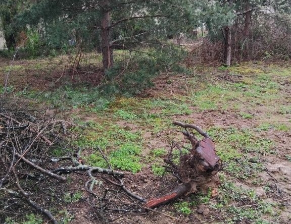 Парцел в с. Ресилово, Област Кюстендил - 740 кв.м за 57 €/кв.м - Снимка #1