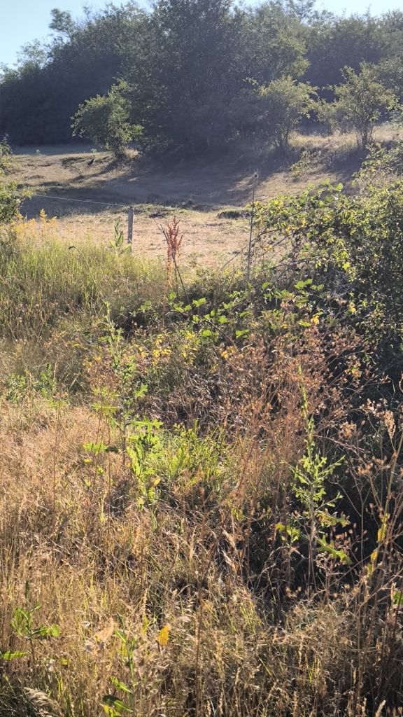 Парцел в с. Караполци, Област София-област - 350 кв.м за 51 €/кв.м - Снимка #1