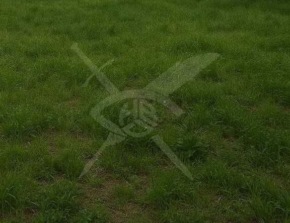 Парцел в с. Белащица, Област Пловдив - 9098 кв.м за 70 €/кв.м - Снимка #1