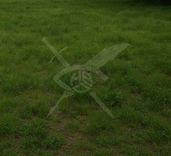Парцел в с. Белащица, Област Пловдив - 9098 кв.м за 70 €/кв.м - Снимка #1