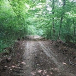 Парцел в с. Старозагорски бани, Област Стара Загора - 85000 кв.м за 5 €/кв.м - Снимка #1